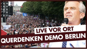 Querdenken-Demo: Berlin Invites Europe | 29.08.2020 - eingeschenkt.tv by Demos (QUERDENKEN-711)