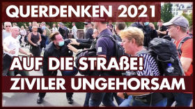 Querdenken in Berlin: Ziviler Ungehorsam 2021 #B2908 by Demos (QUERDENKEN-711)