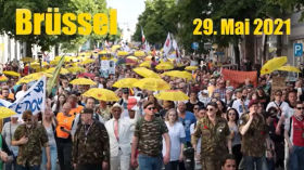 Europaweite Großdemonstration gegen die Coronamaßnahmen in Brüssel 🕊 😊 🕊 Re-Post Entfesselte Kamera by Querdenken-615 (Darmstadt)